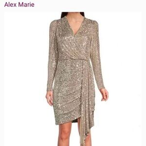 NWT Alex Marie Milly Sequin V-Neck Dress Size 8